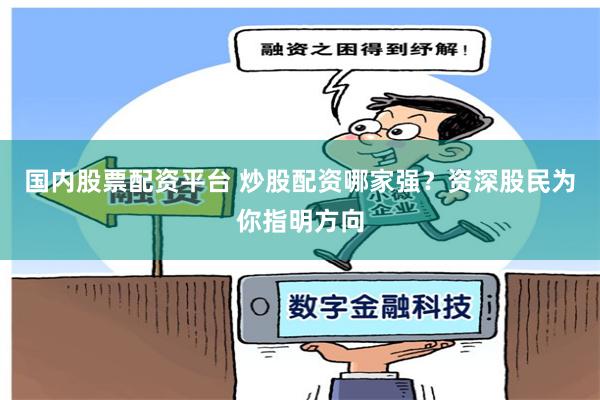 国内股票配资平台 炒股配资哪家强？资深股民为你指明方向